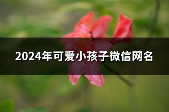 2024年可愛小孩子微信網名(精選251個)