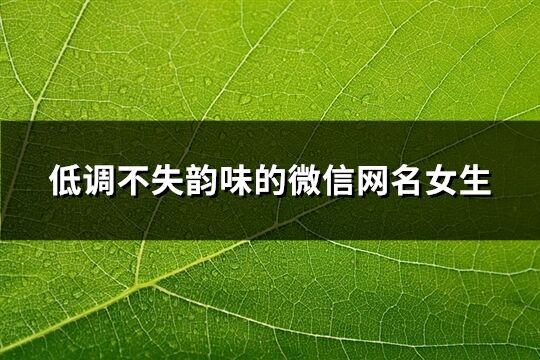 低調不失韻味的微信網名女生(86個)