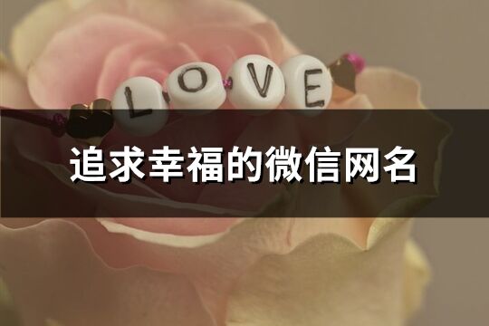 追求幸福的微信網名(精選272個)