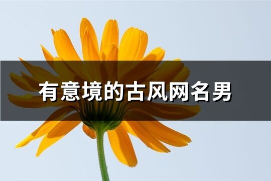 有意境的古風網名男(精選271個)