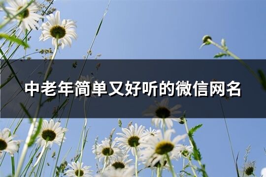 中老年簡(jiǎn)單又好聽(tīng)的微信網(wǎng)名(優(yōu)選118個(gè))
