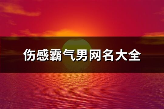 傷感霸氣男網(wǎng)名大全(139個)