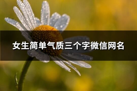 女生簡單氣質三個字微信網(wǎng)名(優(yōu)選158個)