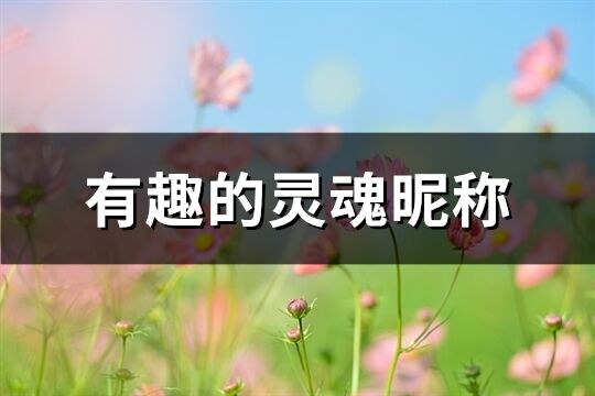有趣的靈魂昵稱(共71個)