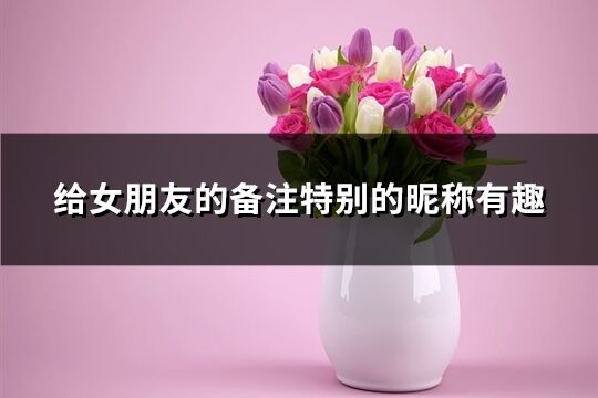 給女朋友的備注特別的昵稱有趣(123個(gè))