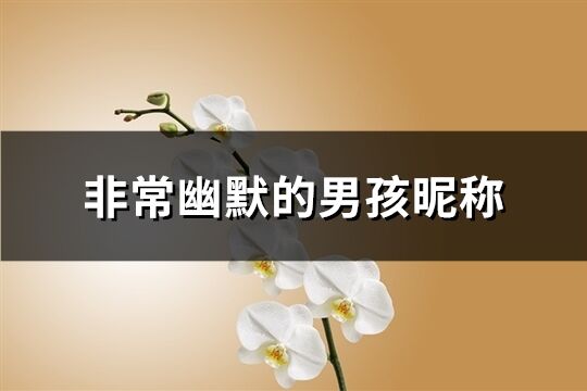 非常幽默的男孩昵稱(共196個)