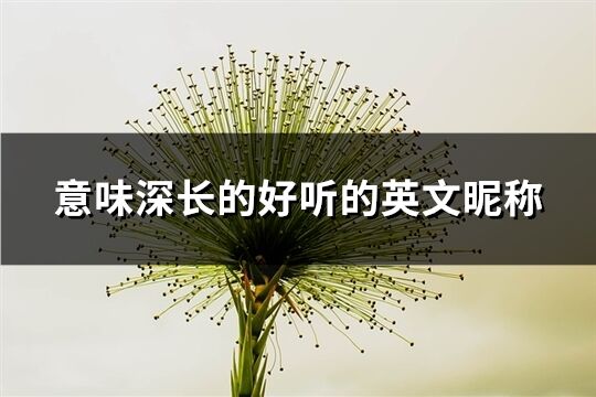 意味深長的好聽的英文昵稱(161個)