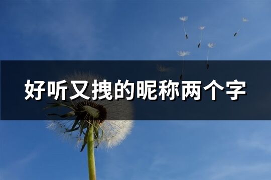 好聽又拽的昵稱兩個字(177個)