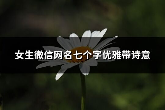 女生微信網名七個字優雅帶詩意(共190個)
