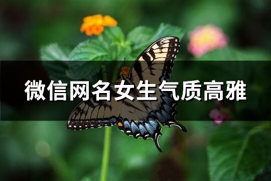 微信網名女生氣質高雅(精選190個)
