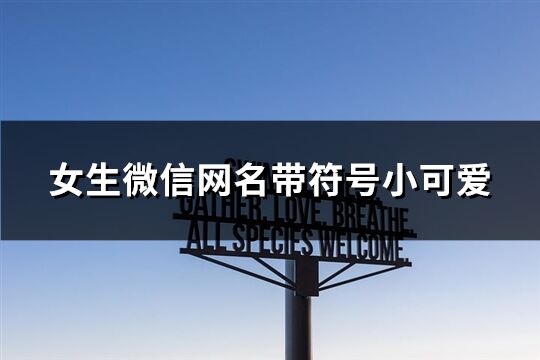 女生微信網名帶符號小可愛(107個)