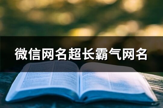 微信網(wǎng)名超長霸氣網(wǎng)名(共65個)