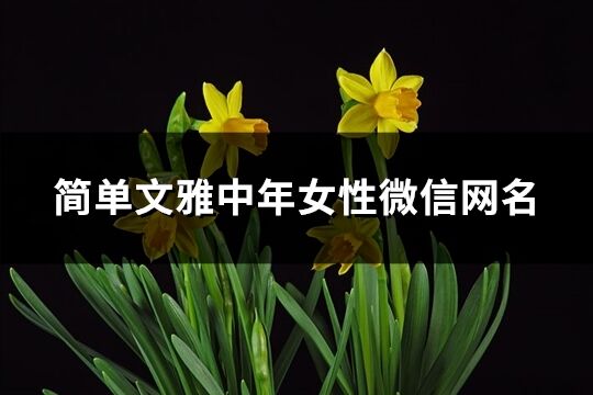 簡單文雅中年女性微信網名(共229個)