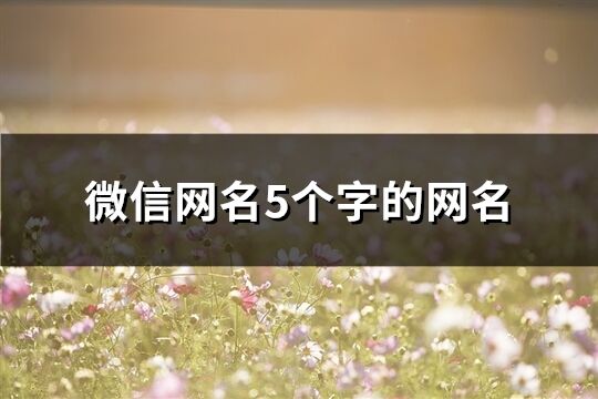 微信網名5個字的網名(共106個)