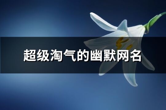 超級淘氣的幽默網名(共242個)