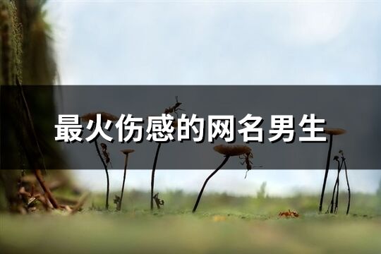 最火傷感的網名男生(精選91個)