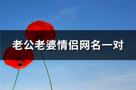 老公老婆情侶網(wǎng)名一對(共80個)