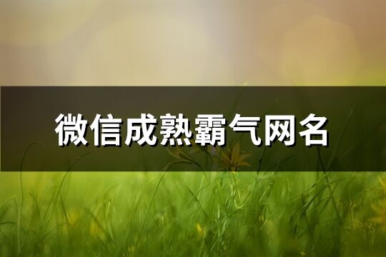微信成熟霸氣網(wǎng)名(共203個)