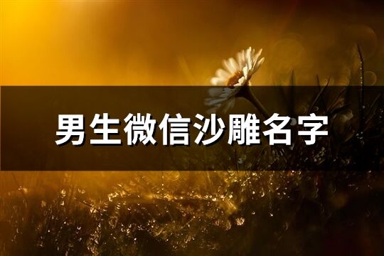 男生微信沙雕名字(共259個)