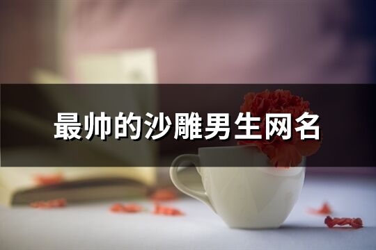 最帥的沙雕男生網名(共245個)