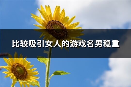 比較吸引女人的游戲名男穩重(共63個)