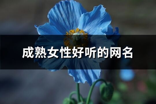 成熟女性好聽的網(wǎng)名(130個)