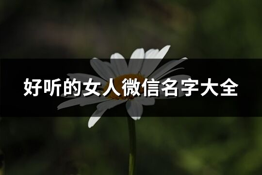 好聽(tīng)的女人微信名字大全(148個(gè))
