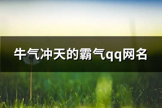 牛氣沖天的霸氣qq網(wǎng)名(共74個(gè))