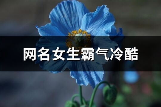 網名女生霸氣冷酷(101個)