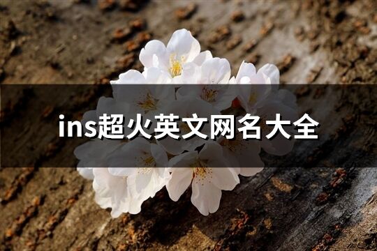 ins超火英文網(wǎng)名大全(105個)