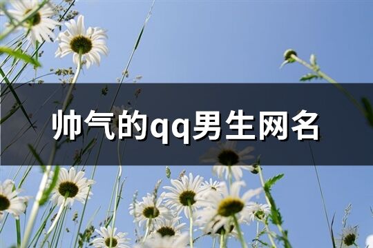 帥氣的qq男生網名(共212個)
