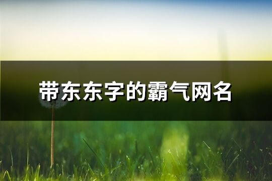 帶東東字的霸氣網(wǎng)名(共248個)