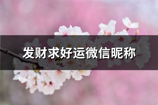 發財求好運微信昵稱(226個)