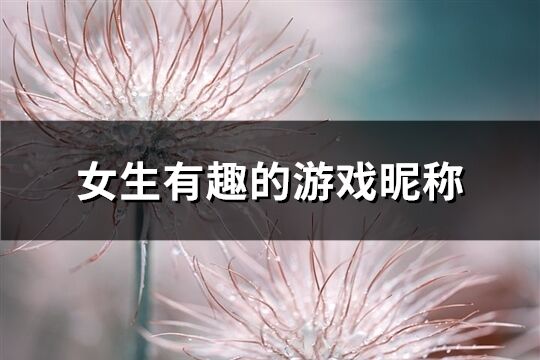 女生有趣的游戲昵稱(共154個)