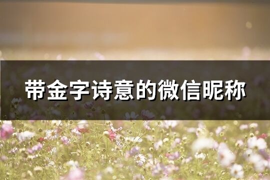 帶金字詩(shī)意的微信昵稱(精選91個(gè))