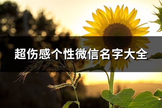 超傷感個性微信名字大全(160個)