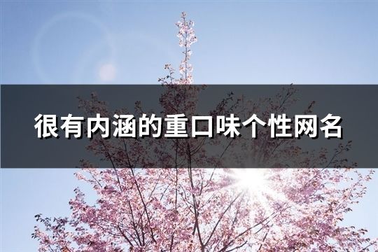 很有內涵的重口味個性網名(93個)