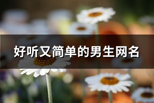 好聽又簡單的男生網名(172個)