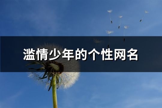 濫情少年的個(gè)性網(wǎng)名(共191個(gè))