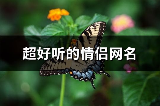 超好聽的情侶網名(共77個)