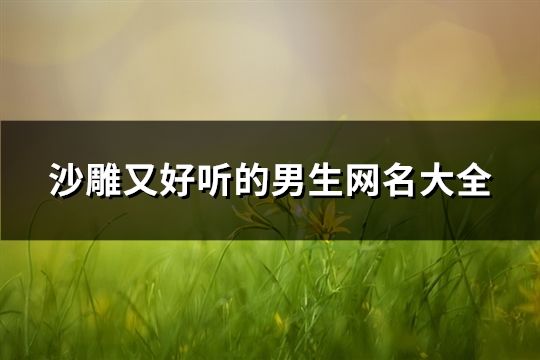 沙雕又好聽的男生網(wǎng)名大全(精選110個)