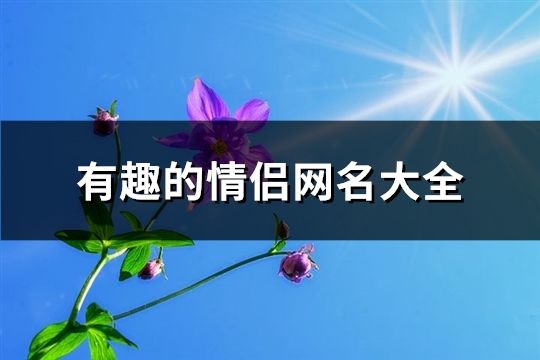 有趣的情侶網(wǎng)名大全(精選137個(gè))