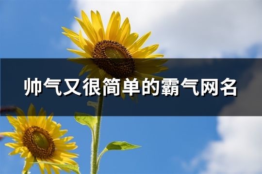 帥氣又很簡單的霸氣網名(共94個)