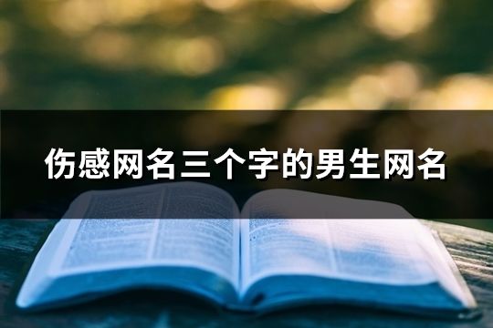 傷感網名三個字的男生網名(共184個)