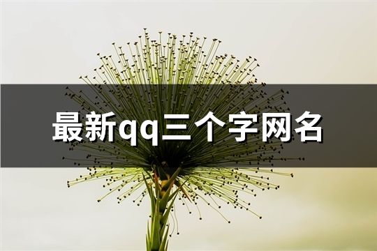 最新qq三個字網名(精選175個)