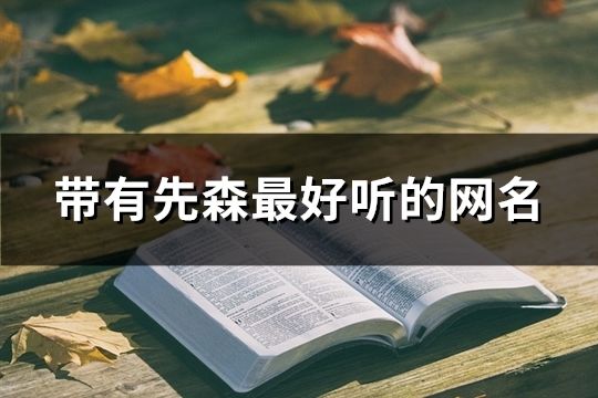 帶有先森最好聽的網名(精選118個)