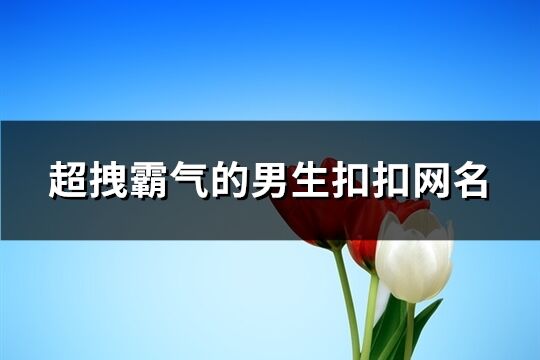 超拽霸氣的男生扣扣網(wǎng)名(共104個)