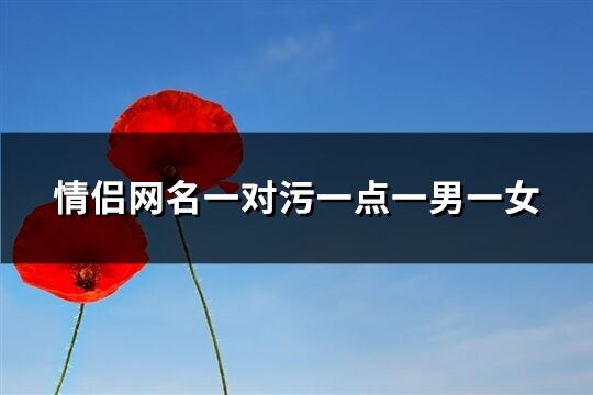 情侶網名一對污一點一男一女(93個)