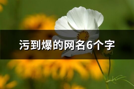 污到爆的網(wǎng)名6個(gè)字(共273個(gè))
