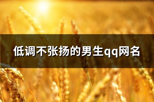 低調(diào)不張揚的男生qq網(wǎng)名(105個)